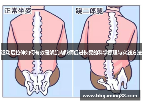 运动后拉伸如何有效缓解肌肉酸痛促进恢复的科学原理与实践方法