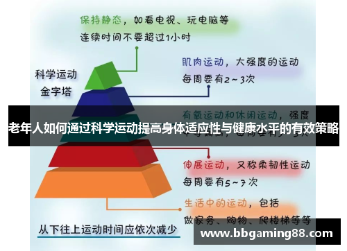 老年人如何通过科学运动提高身体适应性与健康水平的有效策略