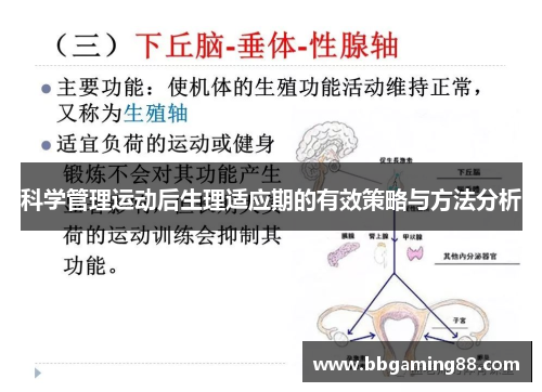 科学管理运动后生理适应期的有效策略与方法分析